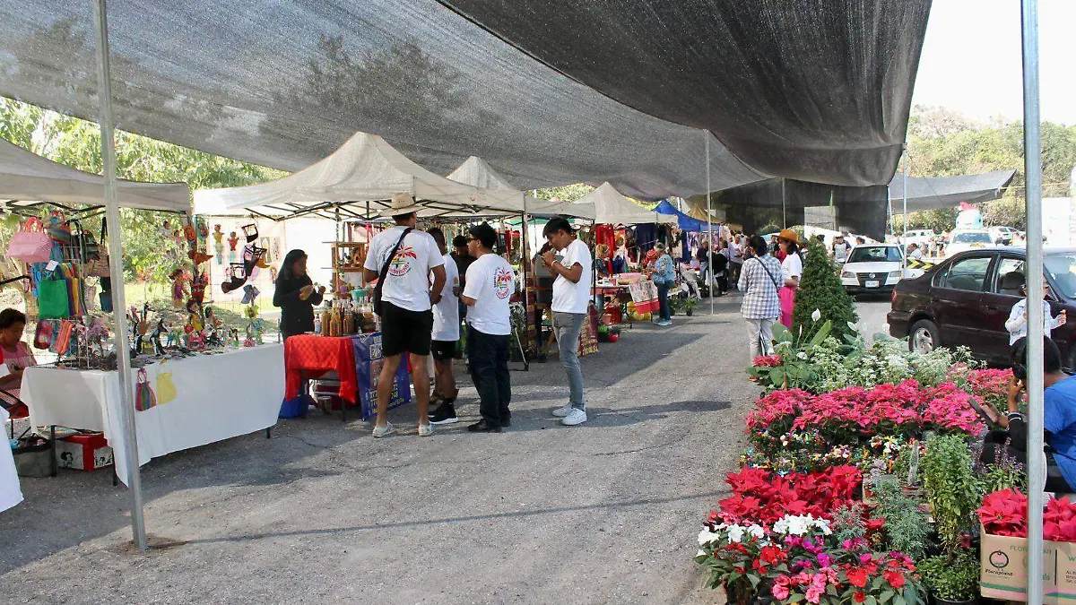 festival-morelos-nochebuena- (2)